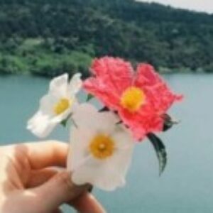 Profile picture of Syahirapouzi