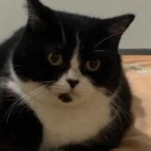 Profile picture of Sal