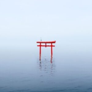 Profile picture of Nini