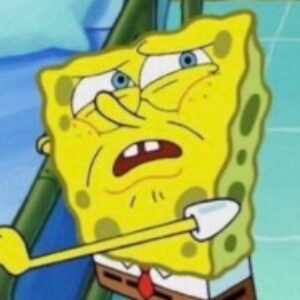 Profile picture of Beekay