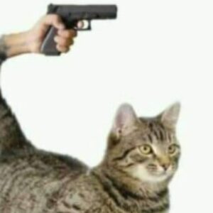 Profile picture of Kambing