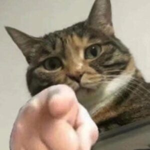 Profile picture of Afiq