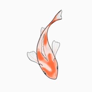 Profile photo of kai