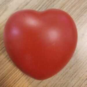 Profile picture of Tomatomato