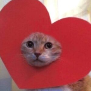 Profile picture of Ida