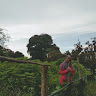 Profile picture of Nur-Hidayati-Mohd-Darwis