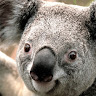 Profile picture of mat-sam