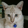 Profile picture of Mohd-Imran