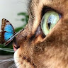 Profile picture of Mintichoco
